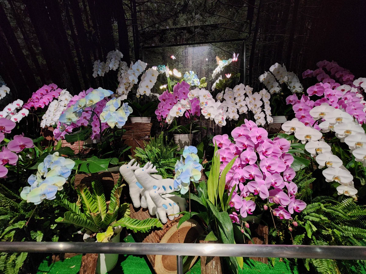 Taiwan in Japan 台北駐日経済文化代表処 on X: 