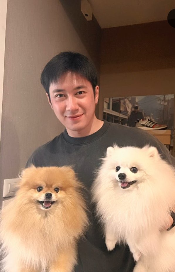 v_rujirat's tweet image. มวลความน่ารักในรูปเต็มไปหมดดด🥹🐶
#แจมรชตะ #JamRachata