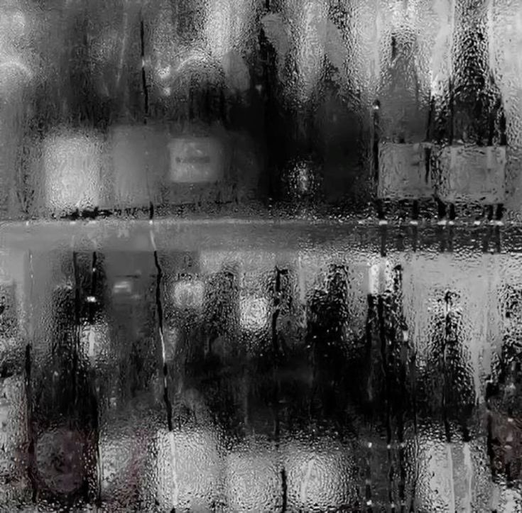 Rowan Han tweet media