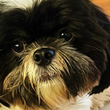 kamukha hahahahaha 😭🤏🏻