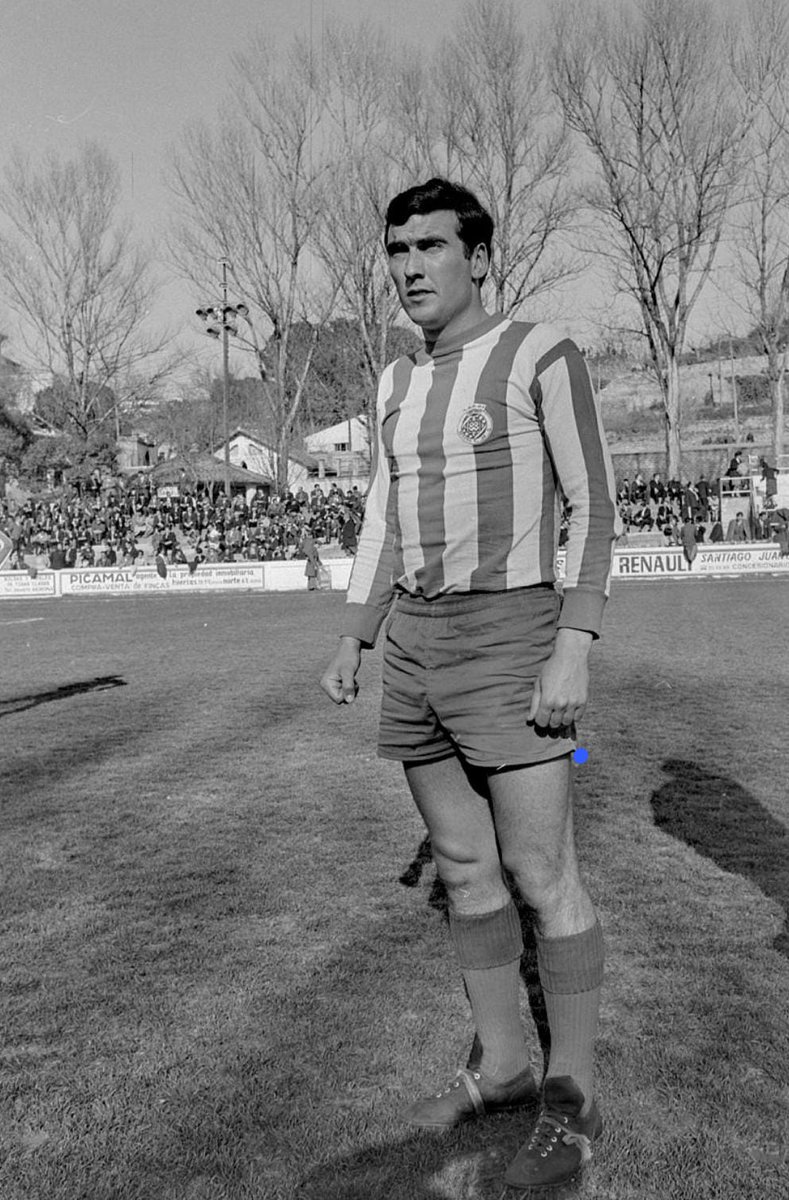 Albert Mateos Poch tweet media