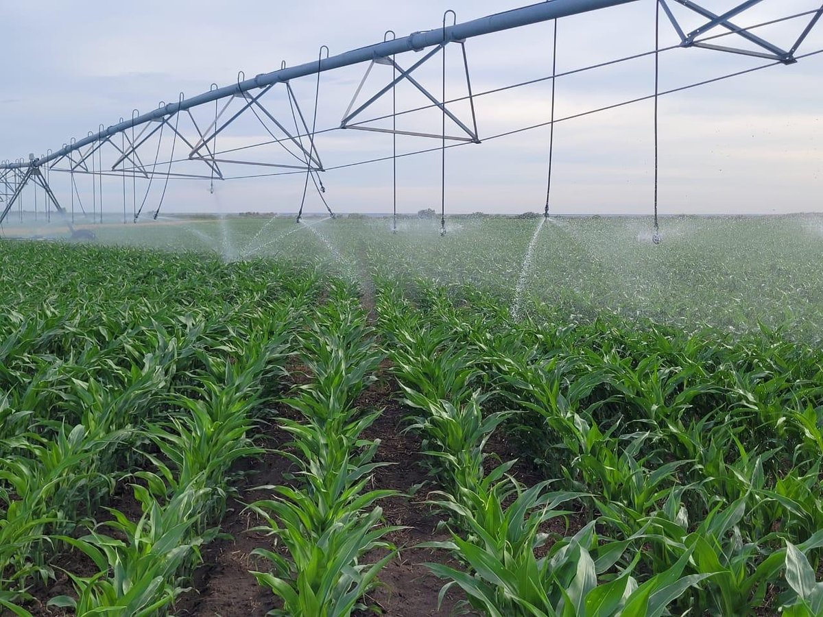 AGRICULTURA: 2025 MARCÓ UN PUNTO DE INFLEXIÓN EN RÍO NEGRO

El 2025 fue un año clave para volver a impulsar la agricultura en la provincia. Con planificación, inversión y trabajo en territorio, ampliamos las áreas bajo riego y fortalecimos la producción con arraigo rural.