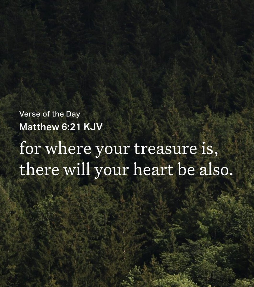 GM friends.
Where is your treasure?