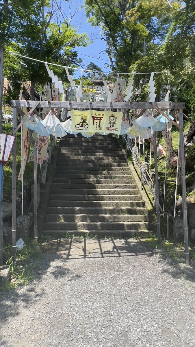 NY channel tweet media