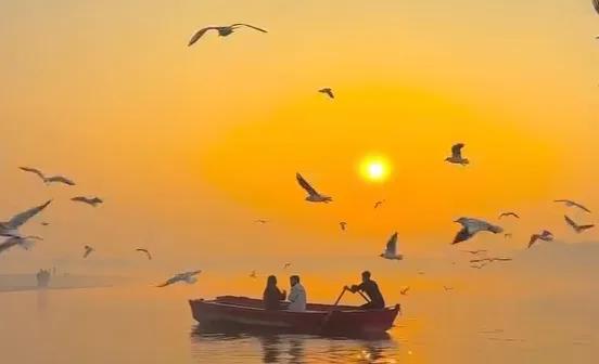 हर सुलझा हुआ इंसान,
कहीं न कहीं उलझा हुआ है!..✍️🌻