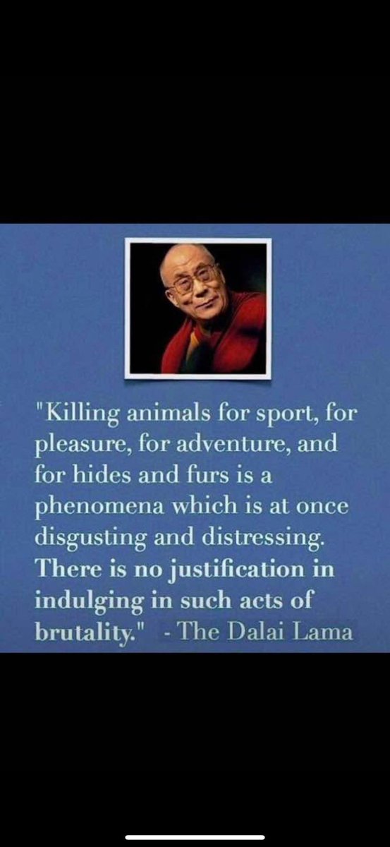 Ellie CG tweet media