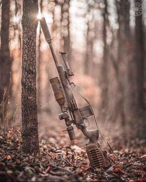 بعد فوات الأوان،
تصبح كل الكلمات ألفاظ فارغة لا معنى لها. مساء الخير