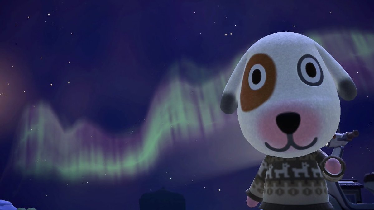 #AnimalCrossing #ACNH #동물의숲