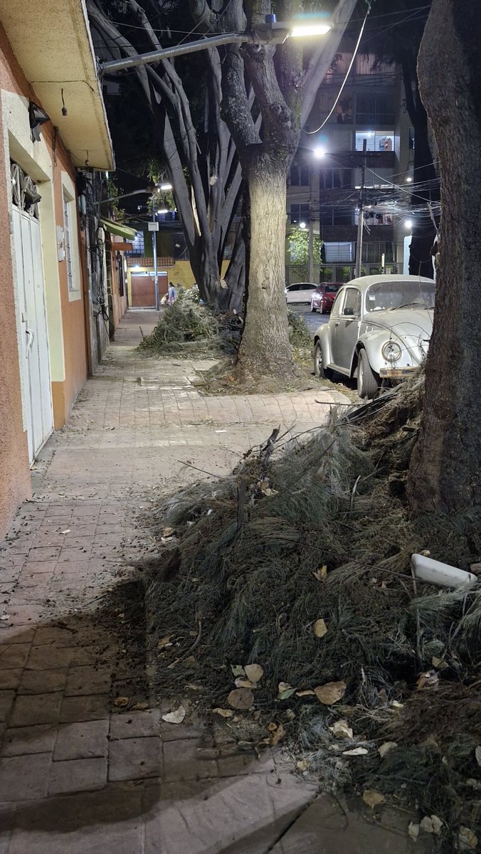 Ostwild's tweet photo. @AlcaldiaMHmx apoyo para retirar ramas que dejaron en varios montones que invaden la acera y el arroyo vehicular. La basura no fue retirada después del servicio de poda.  Ya comenzaron a dejar basura de particulares Col. Popotla. Calle Pocito entre Felipe carrillo y mar adriatico https://t.co/tPO6yNX43J
