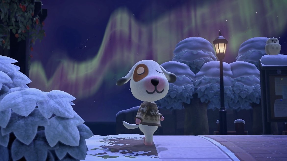 살베 (@dw0utte) on Twitter photo 