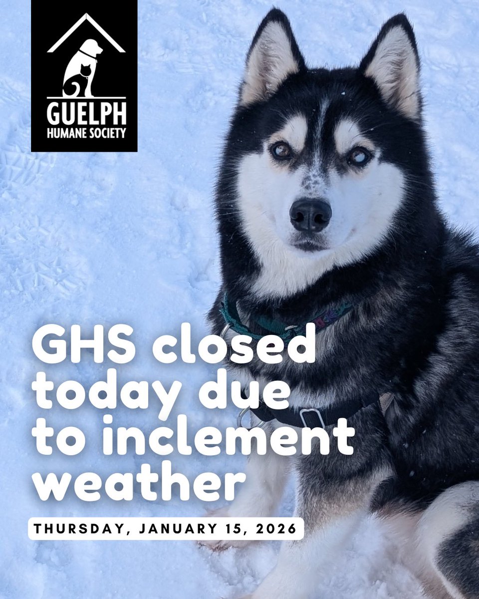 Guelph Humane Society tweet media