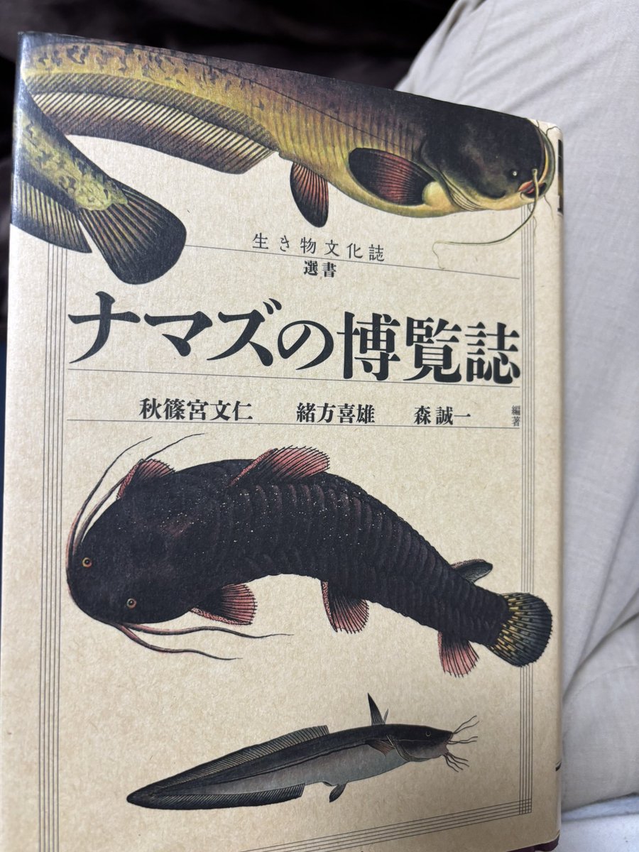 ナマズの博覧誌読んでる。これはナマズコレクションを自慢する親王殿下