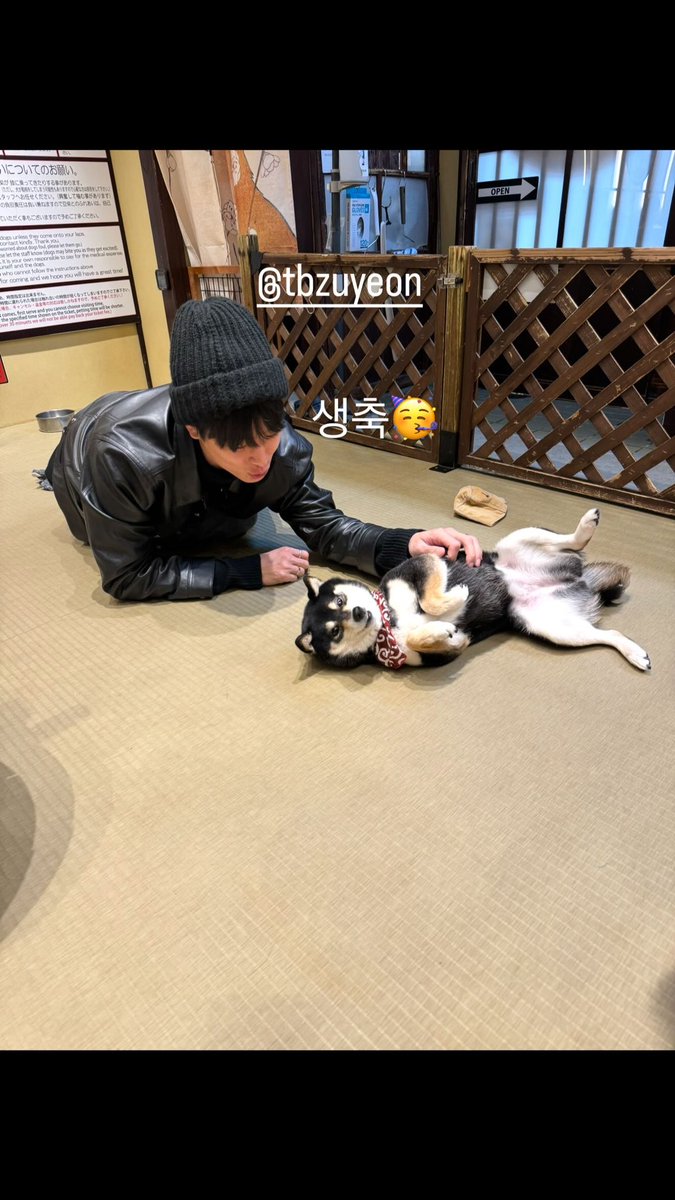 yhwannim's tweet image. ตามิลถ่ายน้องด้วยฟิลเตอร์เมี้ยวเร้ก