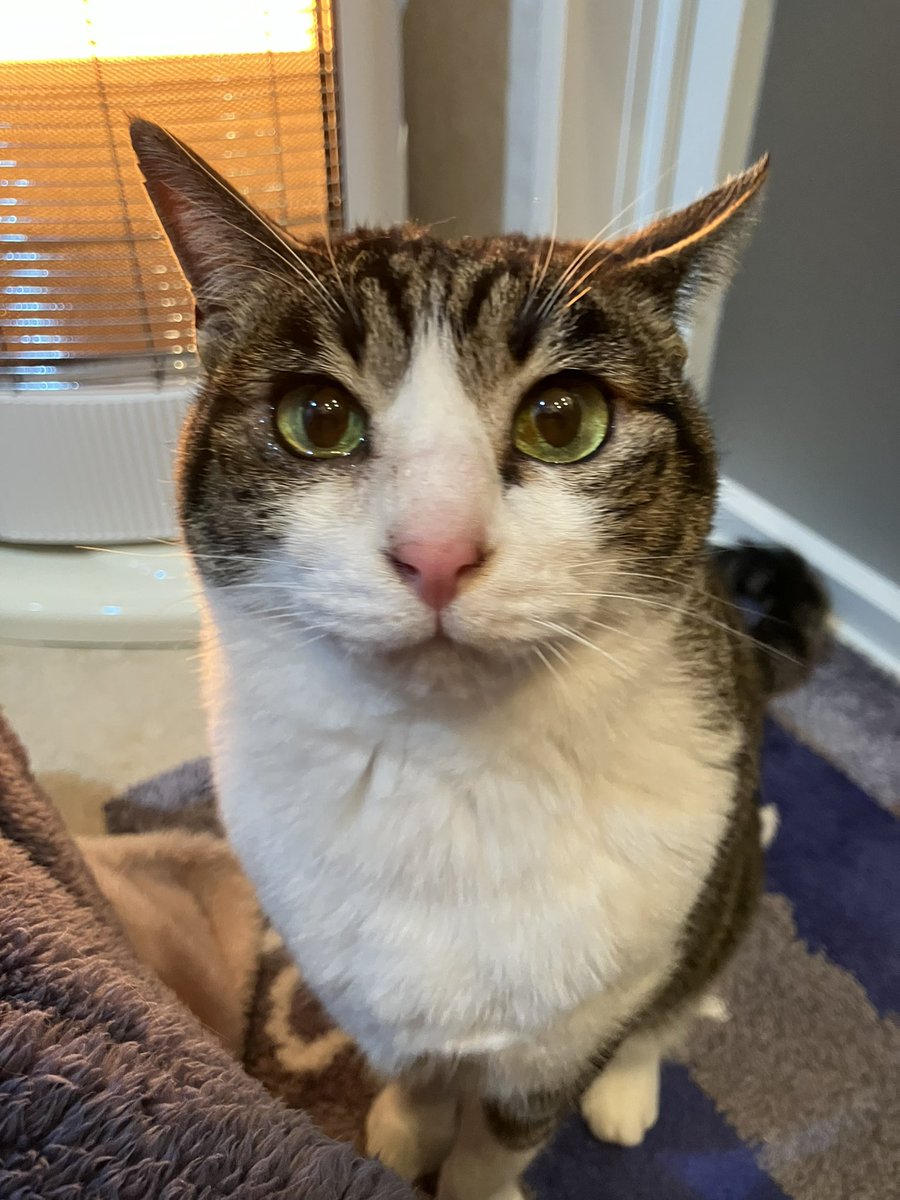 9(きゅう) (@o9o9o) / Posts / X