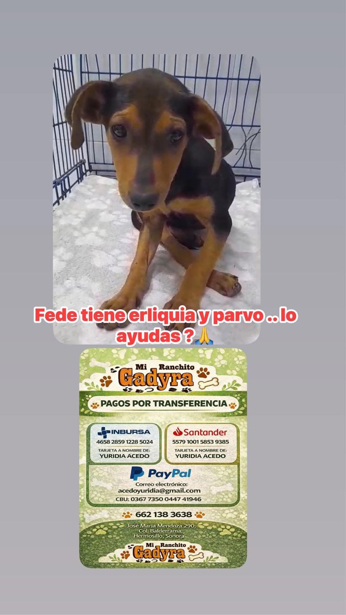 Apoyo para Fede 🙏🙏🙏