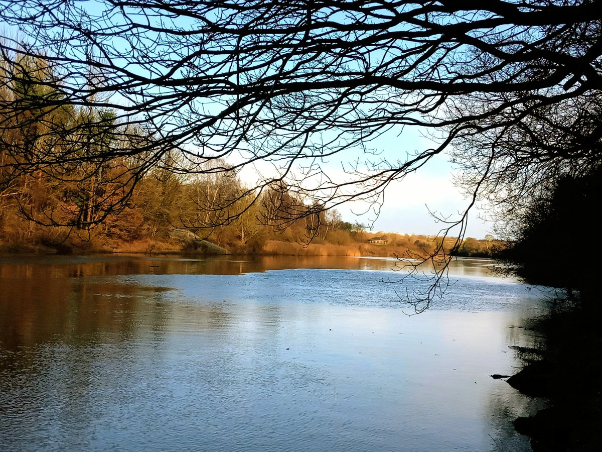 Mudlarking
under shades of gold
earth holds secrets 
untold

to hold a ring
from ancient times
to touch true love
from another life

a #heartfelt gift
from a Roman lover
to his flame veiled bride
may be unearthed
on this low tide

#vss365