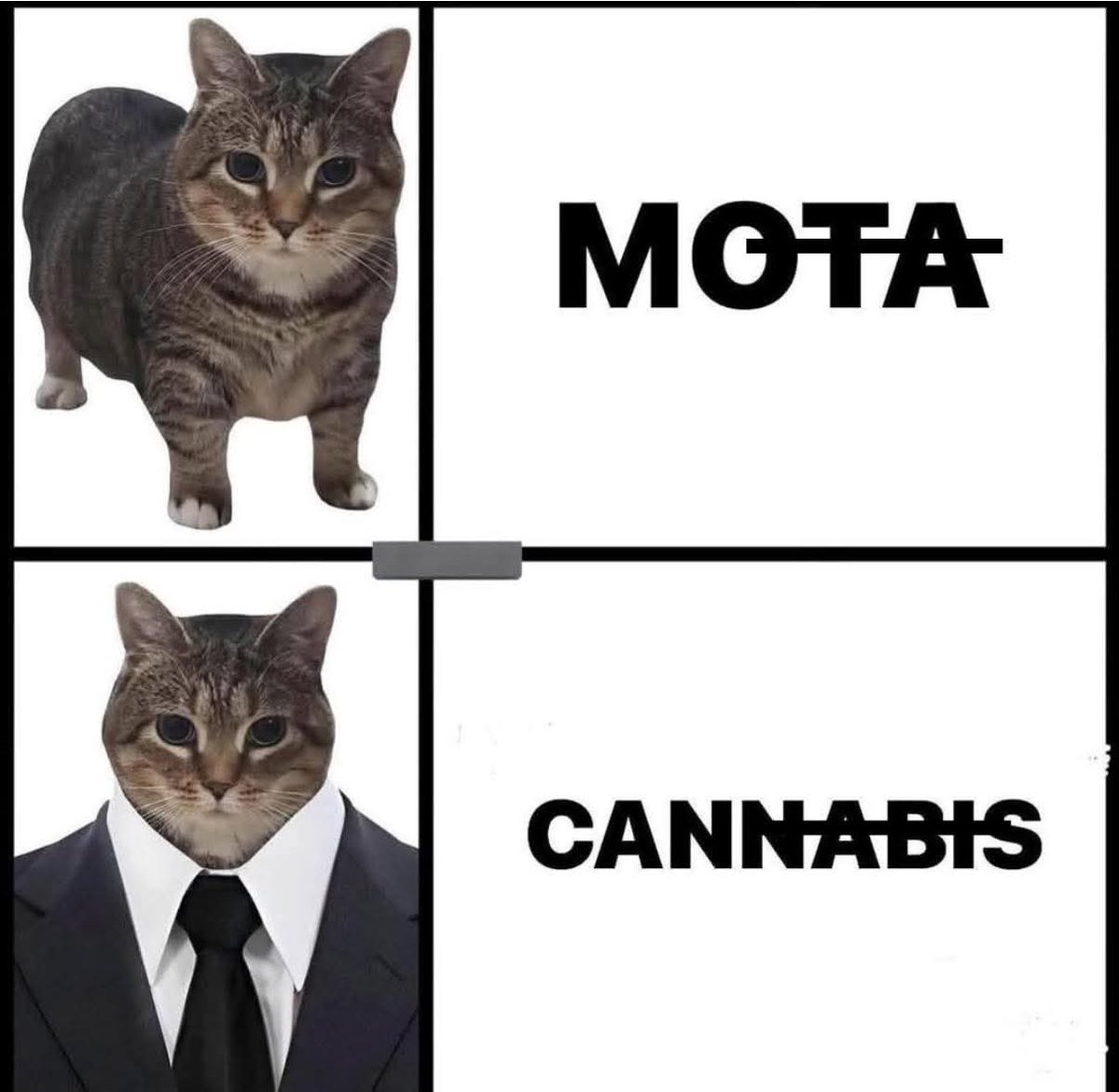 Ku$h Station (@kushstation1) on Twitter photo 