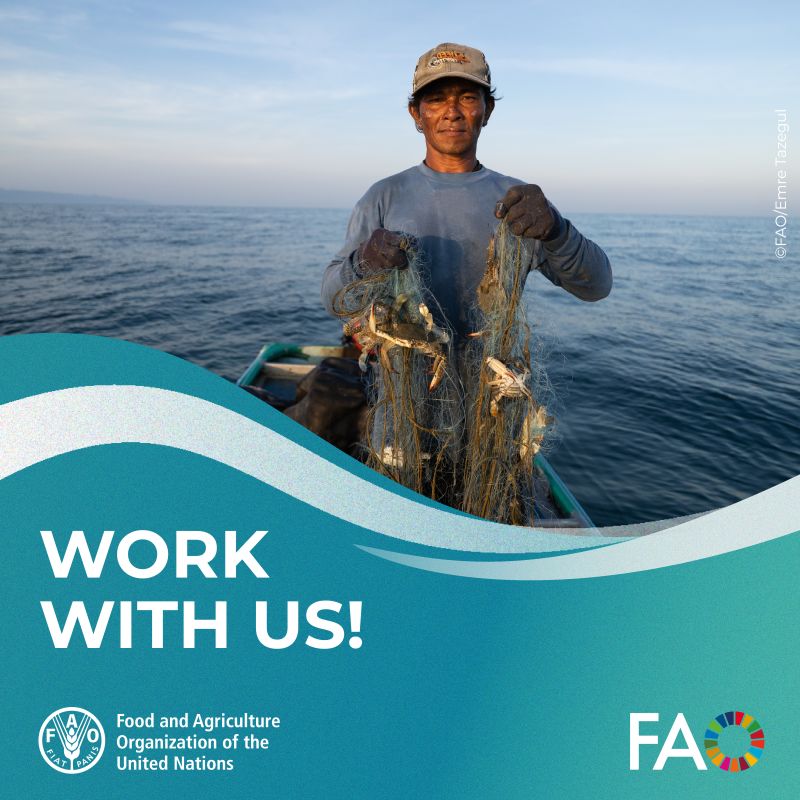 FAO Job Offer working on Fisheries Management. Great vacancy opportunity in our Assessment and Management Team within the Fisheries and Aquaculture Division of FAO, based in Rome <a href="/FAOfish/">Fisheries & Aquaculture</a> <a href="/Manu_FAO/">Manuel Barange</a> 

Apply here: jobs.fao.org/careersection/…