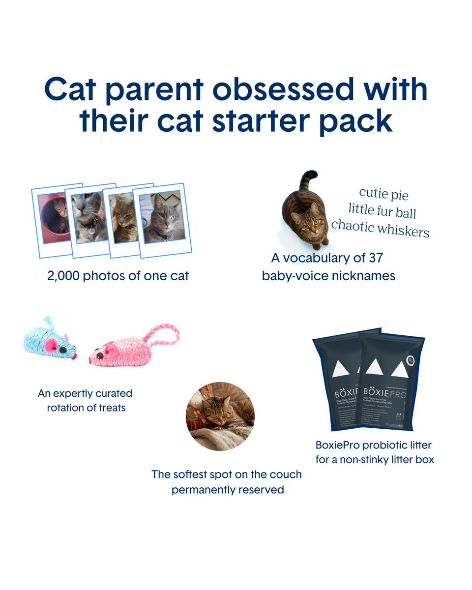 HelloBoxiecat's tweet image. Wouldn't have it any other way. 🤭