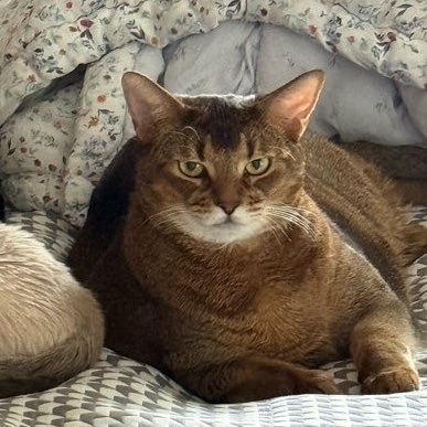 2p_pppp's tweet image. เหมือนมาก มีหน้าม้าเหมือนกันด้วย5555555