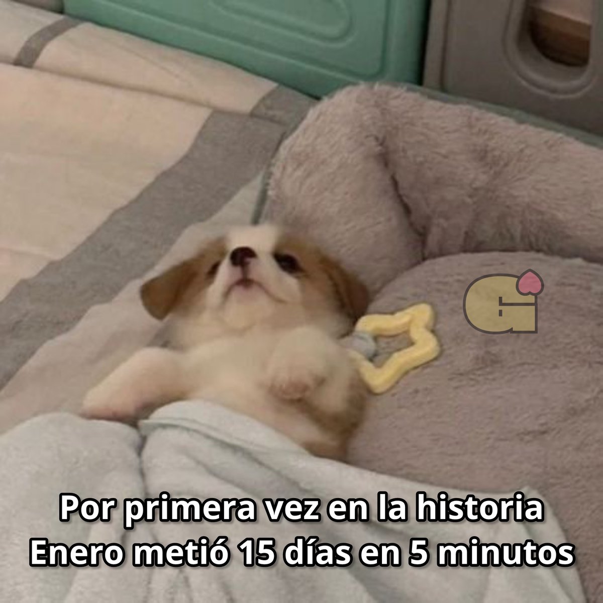 Guarromantico_'s tweet image. Por primera vez.