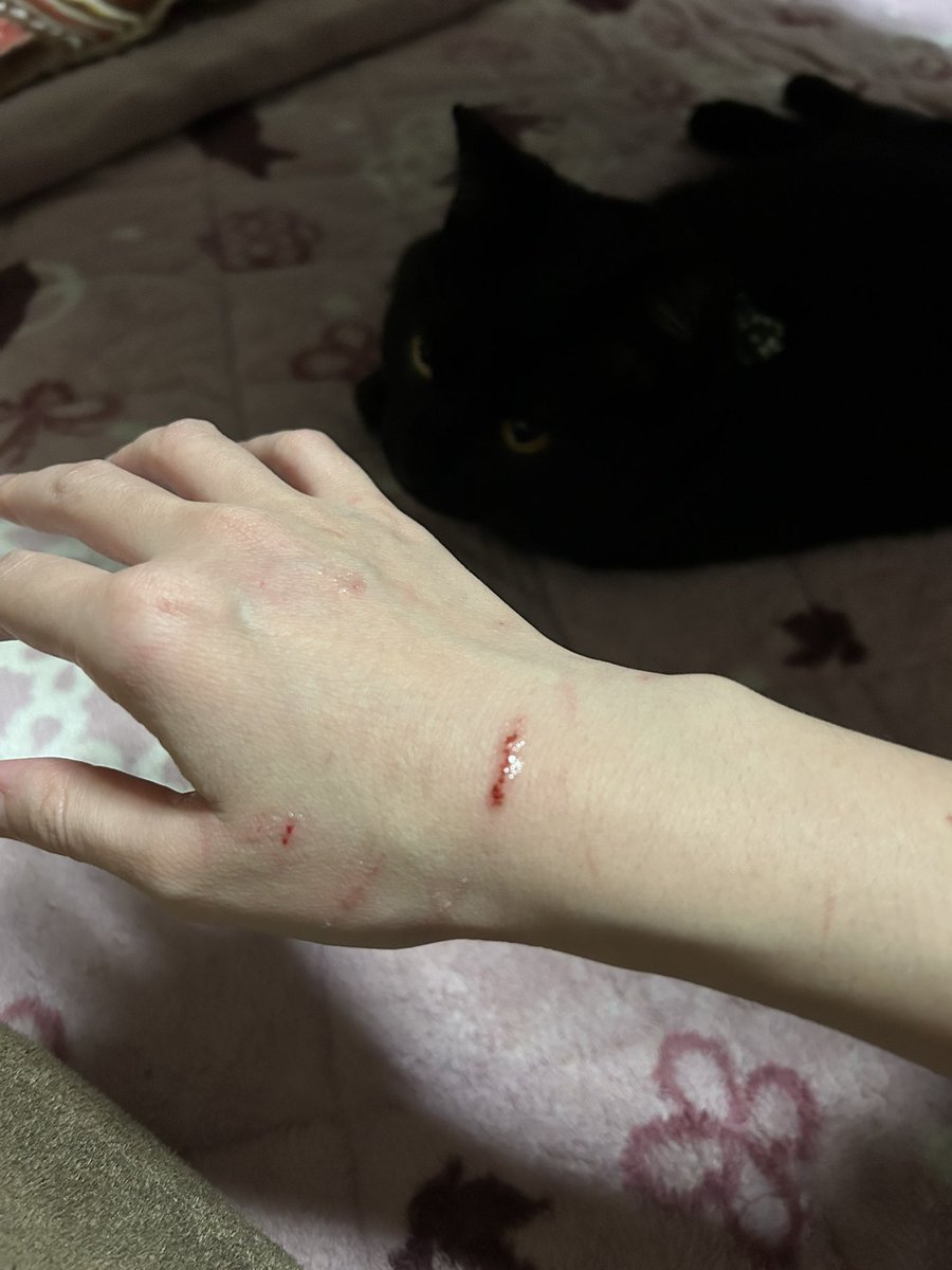 leftover36's tweet image. グロ中尉