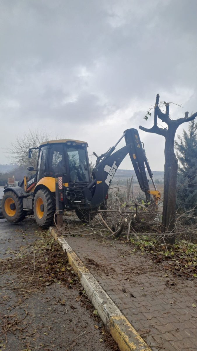 Karayolları Genel Müdürlüğünü  yol yapım çalışmalarından ötürü K4 çevre yolu güzergahında bulunan ağaçların sökümü yapılıp, Urmiye Bulvarına deplase çalışmaları hız kesmeden devam etmektedir.🌿

<a href="/sanliurfabld/">Şanlıurfa Büyükşehir 🇹🇷</a> 
<a href="/halilaldeniz_/">Halil Aldeniz</a> 
<a href="/Tuba_Yaygin/">Tuba Yaygın</a> 
<a href="/sukrukaracads/">şükrü karaca</a> 
<a href="/musadokuz_/">Musa dokuz</a>