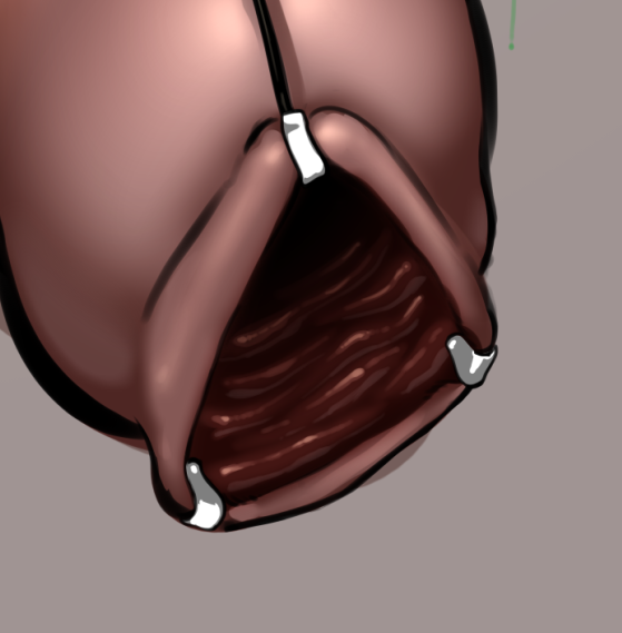 すんごいヒダヒダ描けてるけどこれを乳腺の中といっていいのかという気持ちになってる
ただの肉体改造では? 