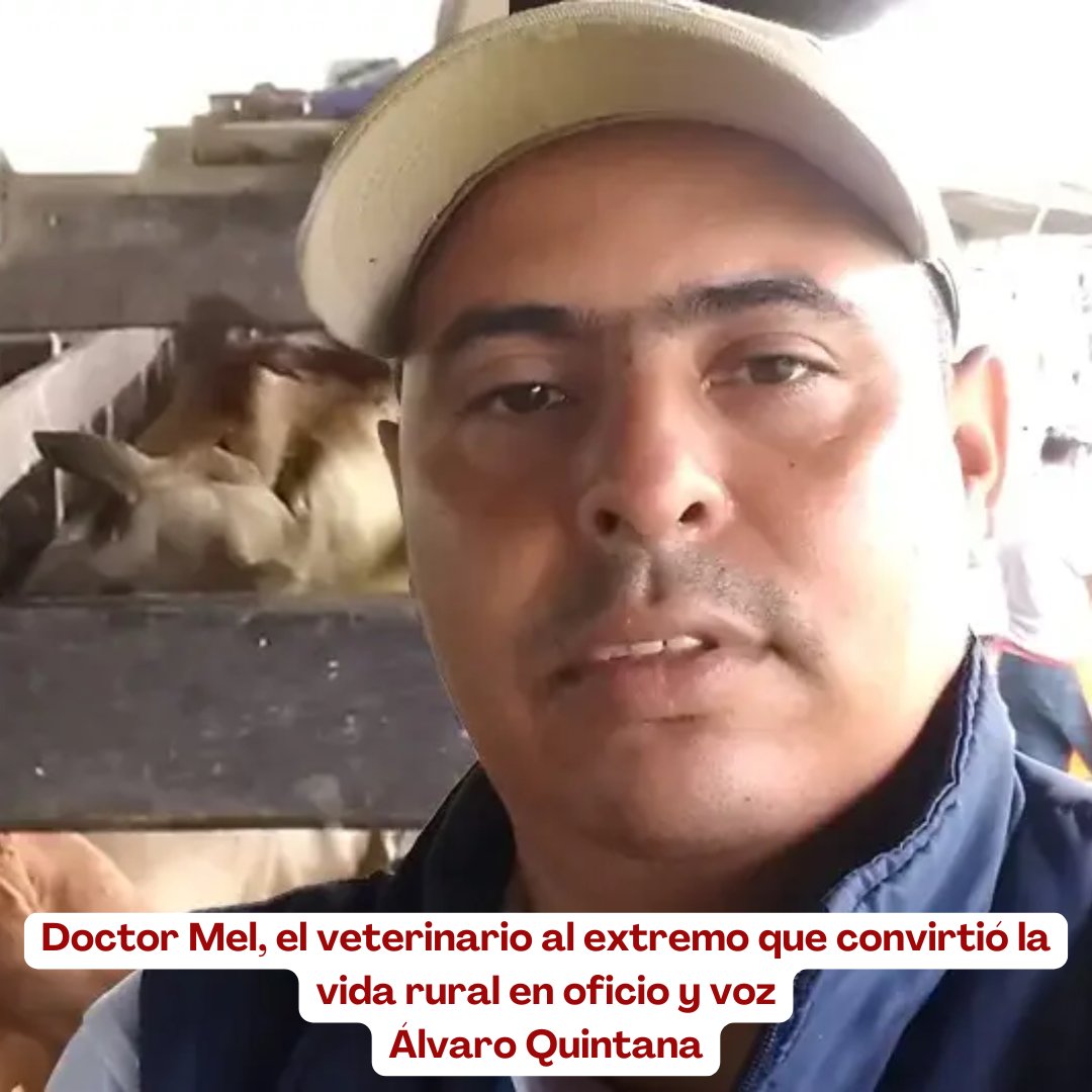 PL_Chiquinquira's tweet image. Entre potreros y micrófonos, la vida de Emiromel José Llorente Martínez, productor de Buenavista (Córdoba), se teje con animales, fe y vocación por compartir conocimiento. 📻🐄

 @fedegan @jflafaurie @ContGanadero  #ConstruyendoGanadería #OrgullosamenteGanaderos