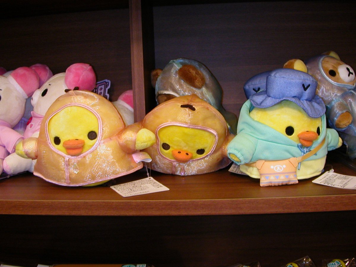 duu . . (듀) tweet media