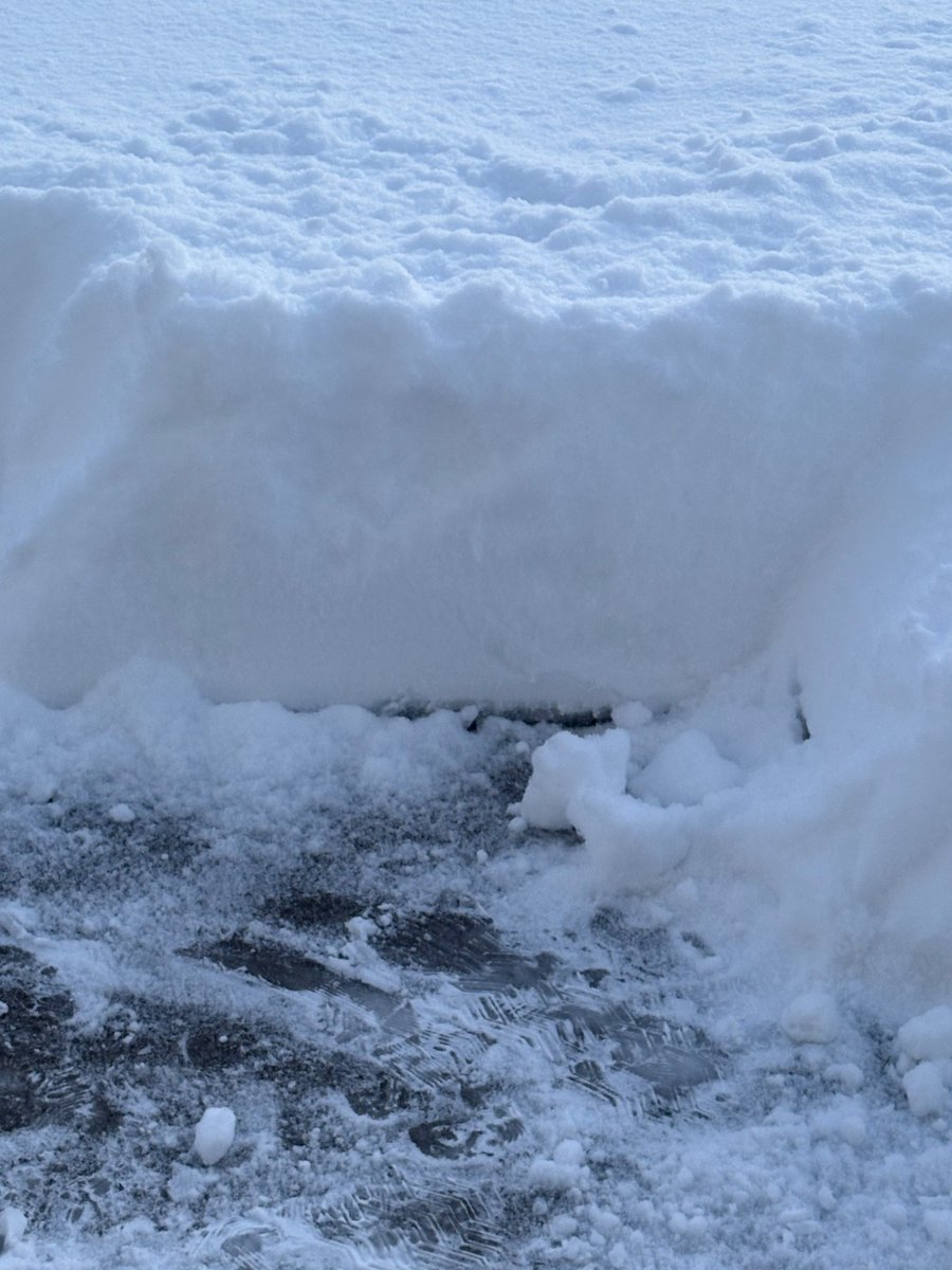 Timothy P. O'Malley tweet media