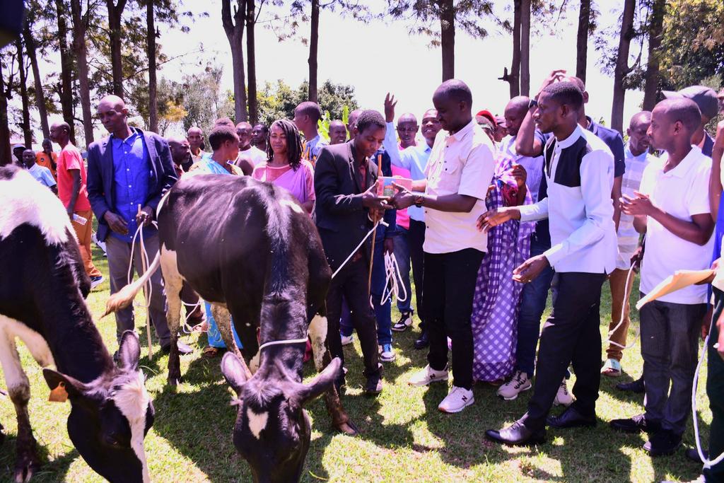 GisagaraDistr's tweet photo. Kuri uyu wa 15 Mutarama 2026 mu Karere @GisagaraDistr hatangijwe igikorwa cyo guha abaturage inka 150 z'ibyimanyi kandi zihaka mu Mirenge 5, zitangwa n'Akarere ku bufatanye na #RDDPII muri gahunda ya #Girinka yatangijwe na HE Perezida wa Repubulika, 
@RwandaAgri @RwandaSouth https://t.co/rHjKwtcH4U