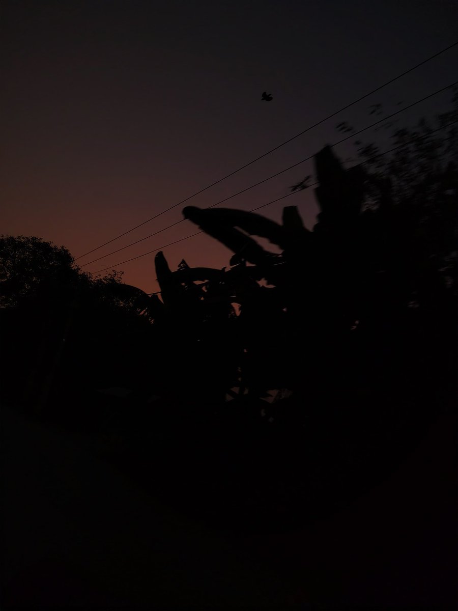 raushanyaduvans's tweet photo. पहले वो मुझको देखकर बरहम-सी हो गई,
फिर अपने ही हसीन ख़यालों में खो गई।
बेचारगी में मेरी उसे रहम आ गया,
शायद मेरे तड़पने का अंदाज़ भा गया।
साँसों से भी क़रीब मेरे आ गया कोई।

2/N https://t.co/wKgSpM7a07