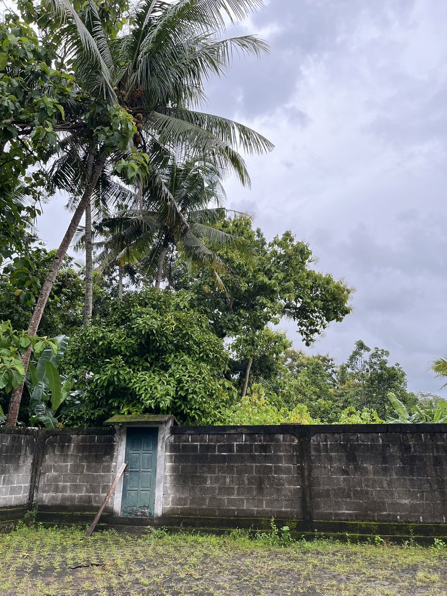 whoinside tweet media