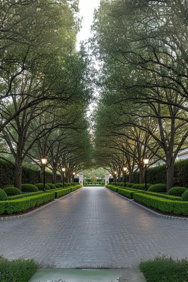 MittCPA's tweet image. the path becomes more and more clear with every step