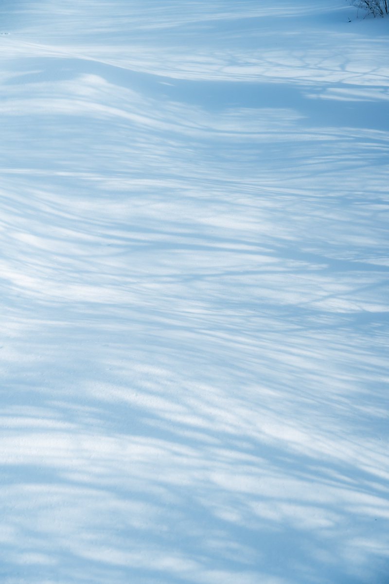 ♬•*¨*•. そら☪️さま 専用ページ•*¨*•.¸♬︎