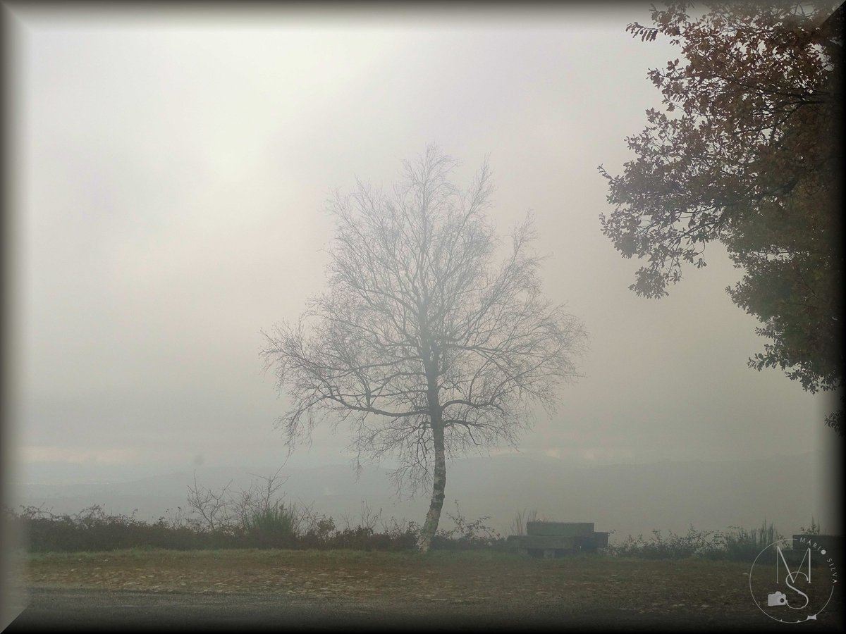 "The Transmontane Fog and Uncertainty" - Águas Frias – Chaves - Portugal
.
This photograph by Mário Silva concludes a cycle of contemplation with a profound emotional and metaphorical charge.
.
The photograph reveals a minimalist and melancholic landscape, (...)
.
©MárioSilva