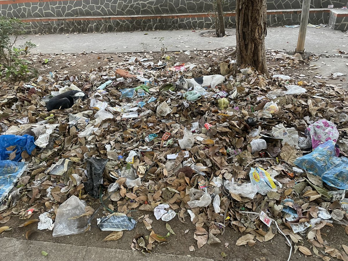 mariakauriam's tweet photo. Little #quiz thanks to @NMMConline : find 2 dogs among the mess in #Sector1 #Sanpada #NaviMumbai #Maharashtra #India https://t.co/7u3yy5eUlM