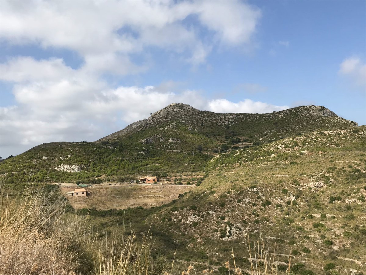 feleloopTwich's tweet image. 