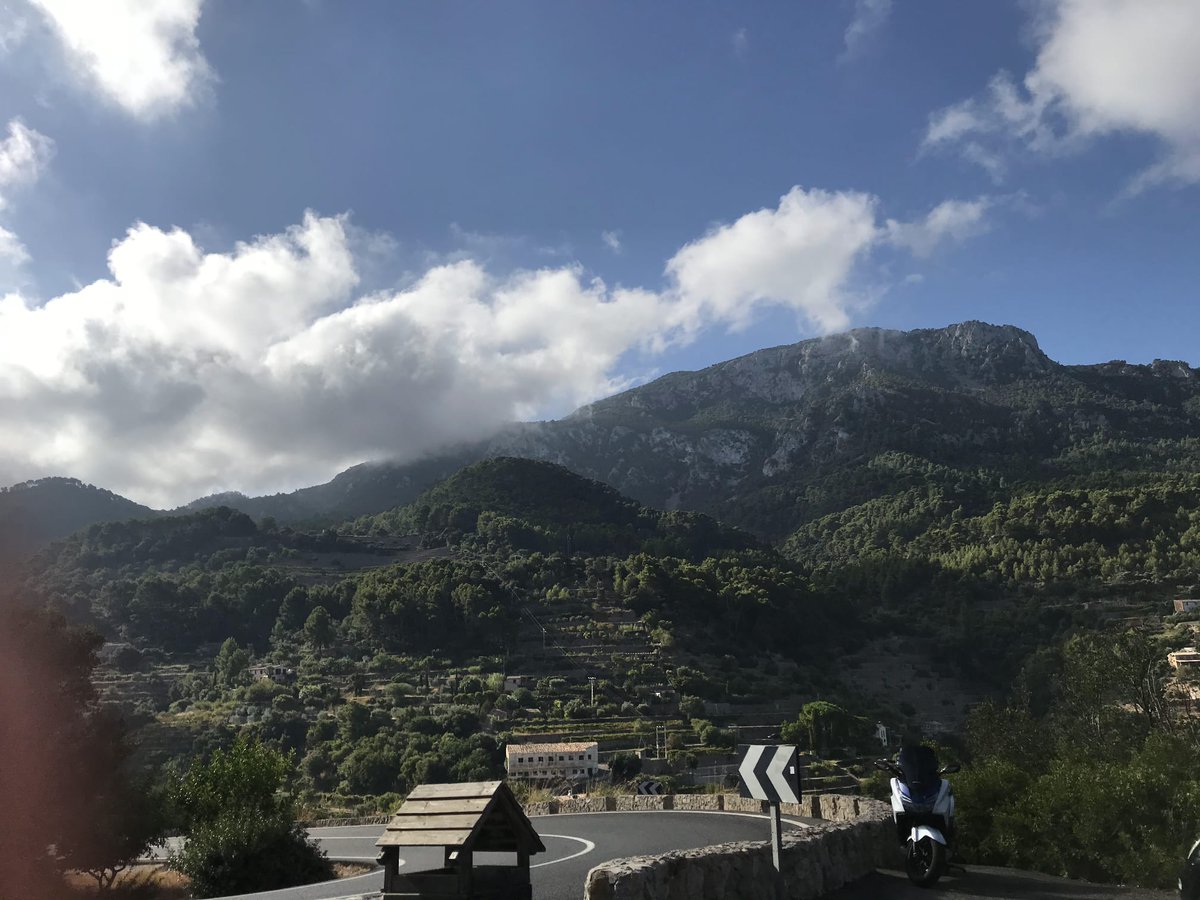 feleloopTwich's tweet image. 