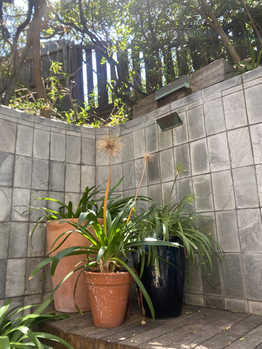 Ariel Cosmo 🌠✨FREE ONLYFANS tweet media