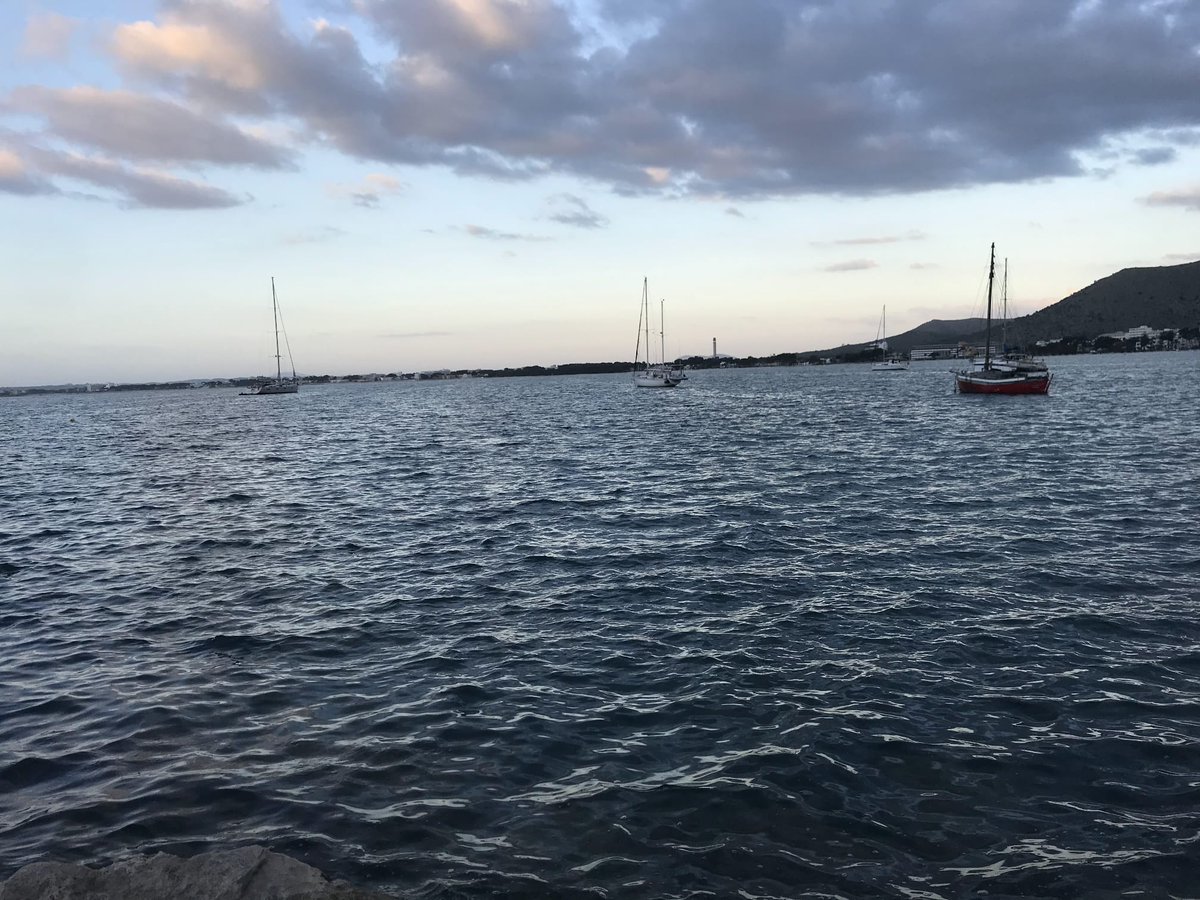 feleloopTwich's tweet image. 