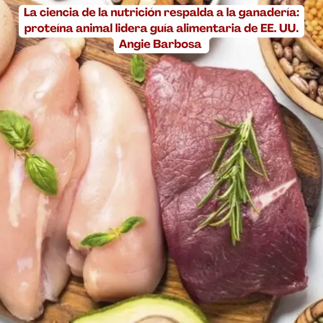 PL_Chiquinquira's tweet image. Las Guías Alimentarias 2025–2030 presentadas por el Gobierno de USA apuestan por las comidas reales, elevan la recomendación de proteínas de alta calidad y refuerzan el papel de la carne y los lácteos dentro de una dieta saludable. 

@fedegan @jflafaurie #ConstruyendoGanadería