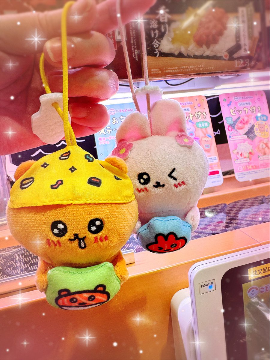 yomoke's tweet photo. 推し活は「スシローさんでコラボ中のチェゴシムを収穫しに行く」でした✨はぴぴ🥹

#チェゴシム https://t.co/k1ESE4OHCh