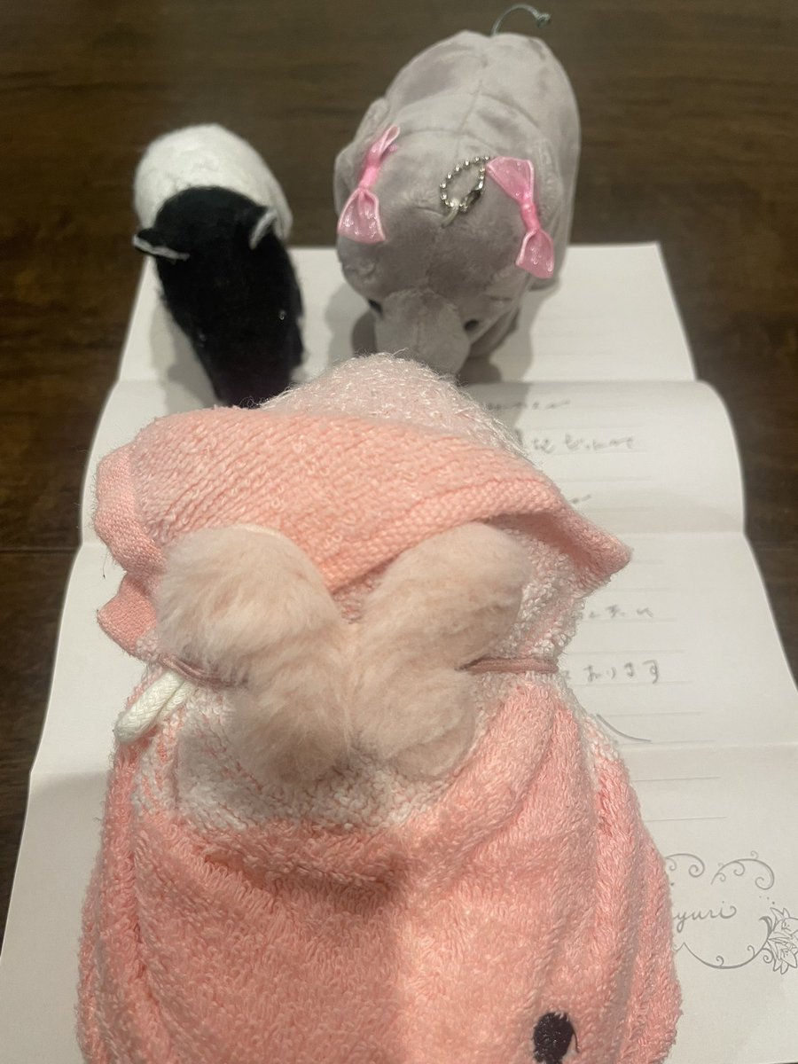 🐼🍼🦛
「ももちゃん！なんかおてがみきてるよ」
🐘🍑
「あっママからだぁ❣️またみんなで遊びに来てね。だって」

👧🏻「ももごめんね(இдஇ`｡)私は少しでもあなた達を疑ってしまった自分がいるんだ。ほんとにごめんなさい。
みんな辛かったよね
また会いに行かせてね」

🐼🐘🦛
「うん❣️いこーね」