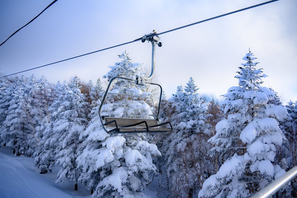 ♬•*¨*•. そら☪️さま 専用ページ•*¨*•.¸♬︎