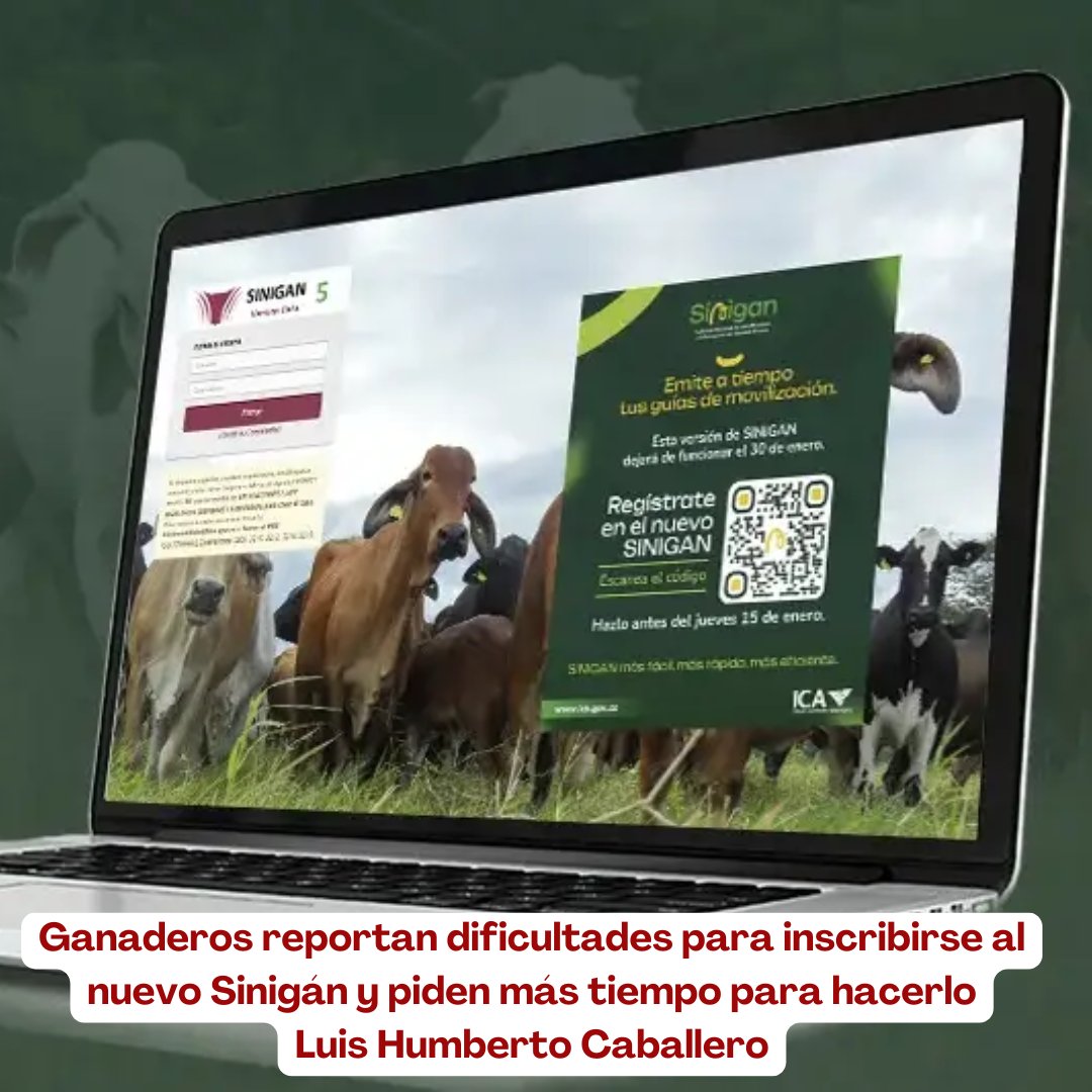PL_Chiquinquira's tweet image. Denuncian dificultades para acceder a la nueva plataforma del Sistema Nacional de Identificación, Información y Trazabilidad Animal (Sinigán) y cumplir con la obligación de inscribir su empresa ganadera. 

 @fedegan @jflafaurie @ContGanadero  #Sinigán #ConstruyendoGanadería