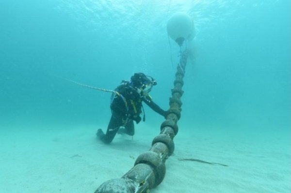 #Internet : Depuis plusieurs jours d’importantes perturbations de services internet en RDC, ARPTC a confirmé, mercredi 14 janvier 2026, que ces dysfonctionnements étaient liés à une « panne technique générale » affectant une artère vitale du réseau mondial.

<a href="/OfficielArptc/">ARPTC Officiel</a>