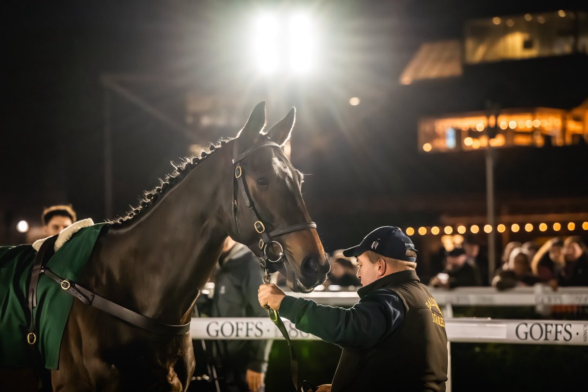 Goffs UK tweet media