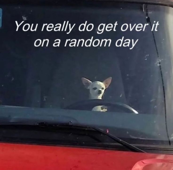 Literariium's tweet image. 